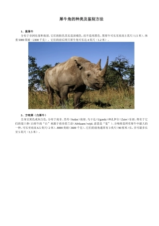 犀牛角的种类及鉴别方法