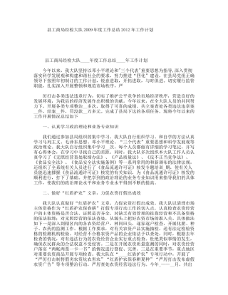 县工商局经检大队年度工作总结年工作计划