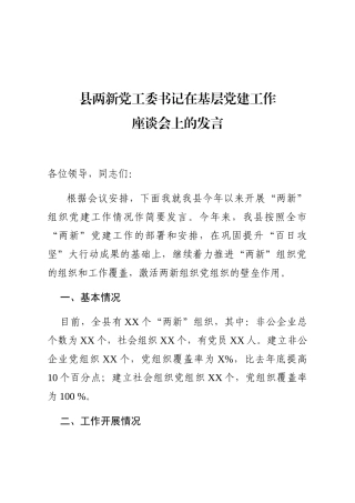 县两新党工委书记在基层党建工作