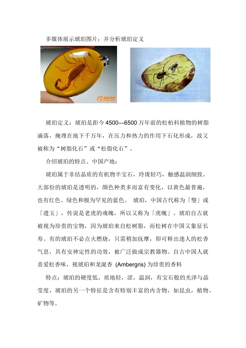 琥珀标本制作教学案_第2页