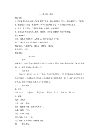 《拣麦穗》教案