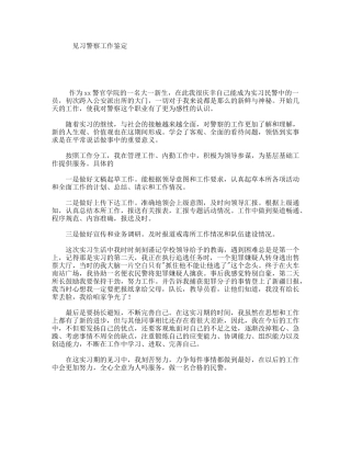 见习警察工作鉴定