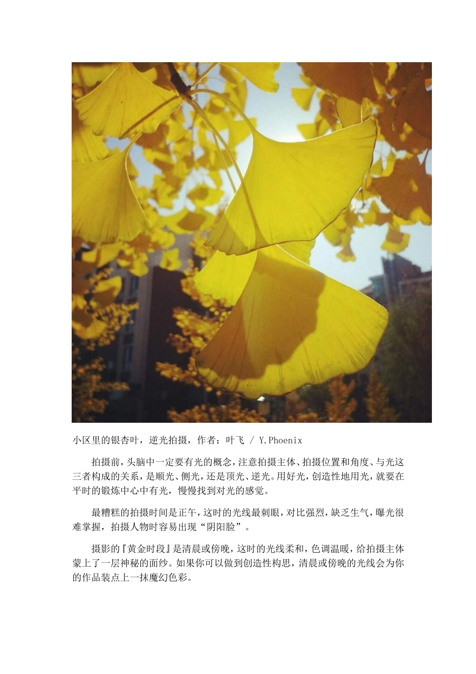 9个简单实用的手机摄影技巧_第3页