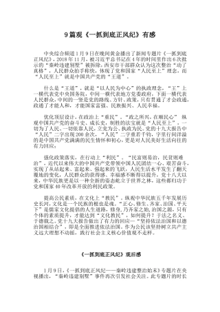 9篇观《一抓到底正风纪》有感