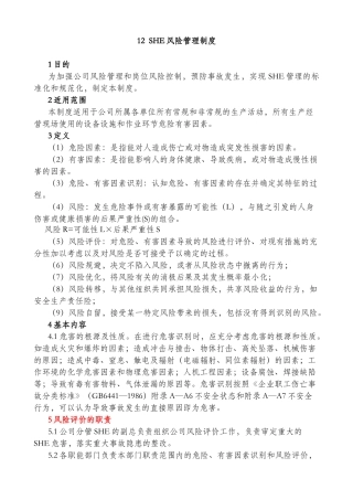12SHE风险管理制度