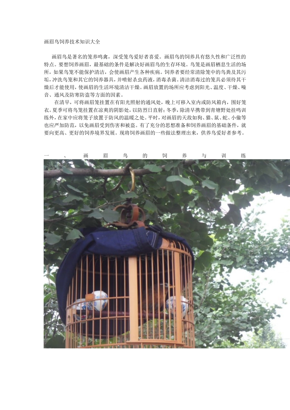 画眉鸟饲养技术知识大全_第1页