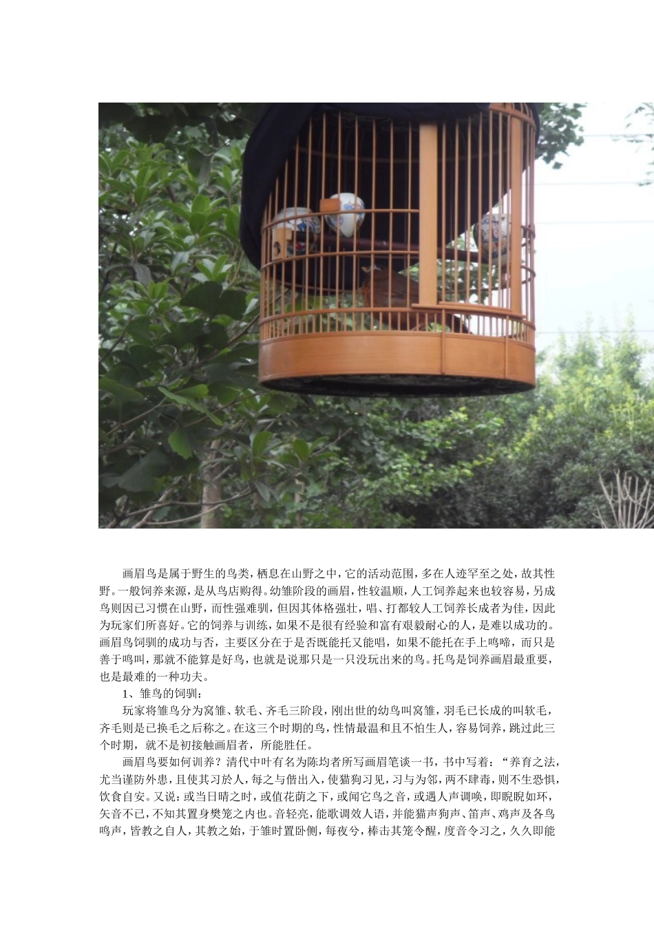 画眉鸟饲养技术知识大全_第2页