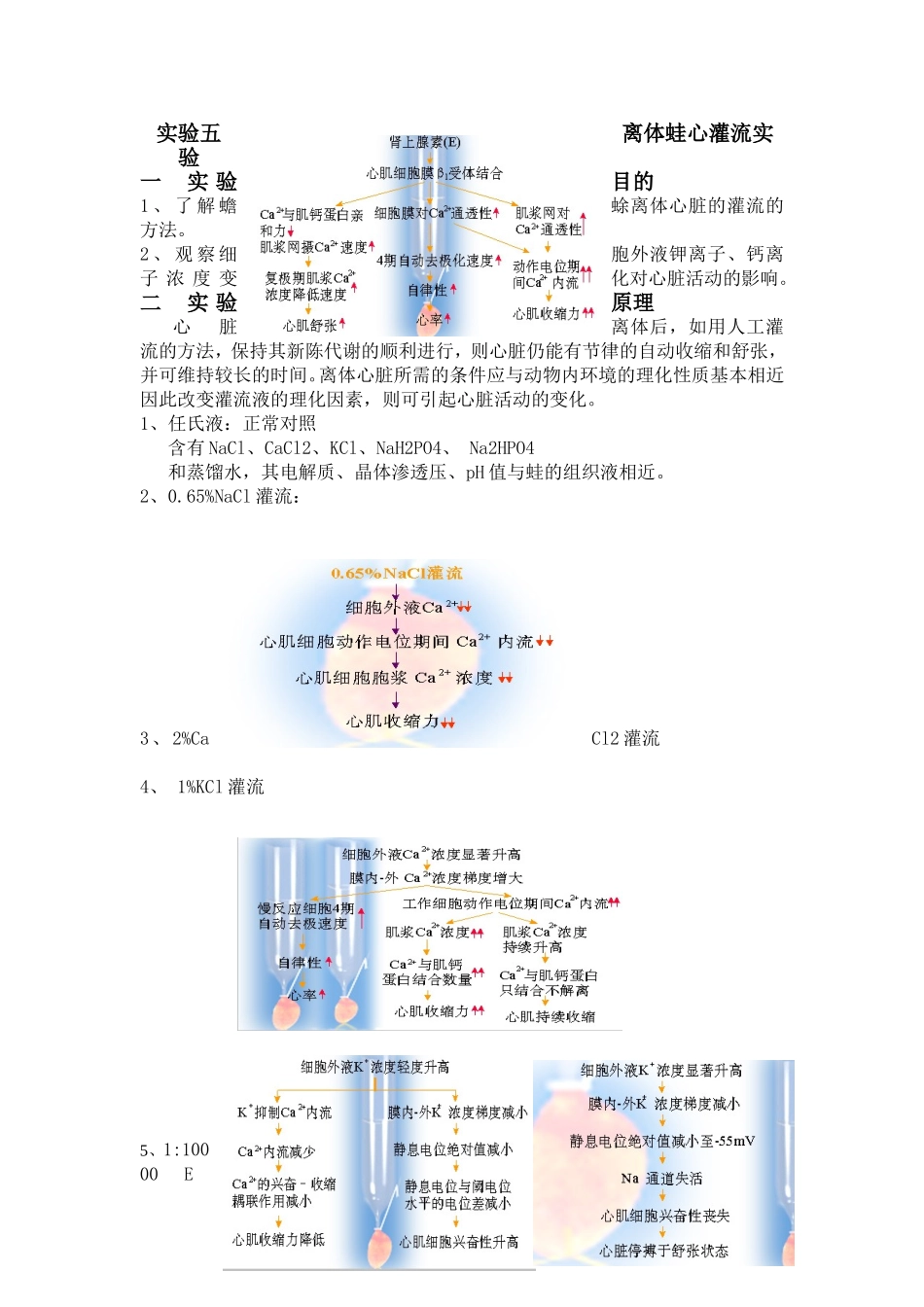 实验五离体蛙心灌流实验_第1页