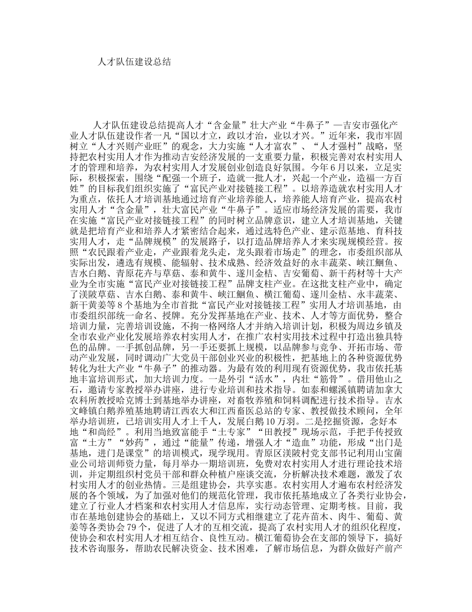 人才队伍建设总结_第1页