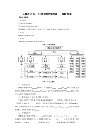 人教版必修一2.3传信息的携带者——核酸学案