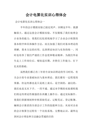 会计电算化实训心得体会