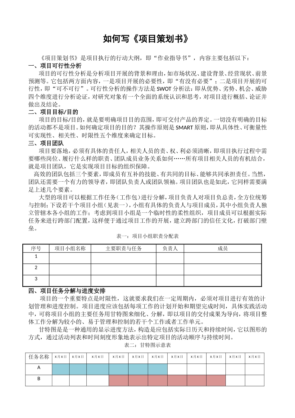 如何写《项目策划书》_第1页