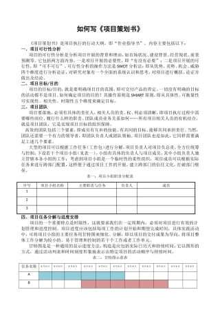 如何写《项目策划书》