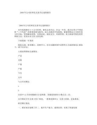 年公司经理党支部书记述职报告