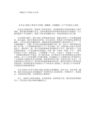 两钠生产车间实习心得