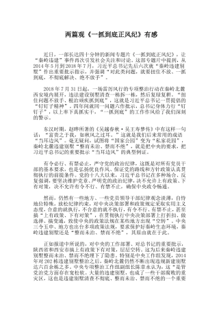 两篇观《一抓到底正风纪》有感