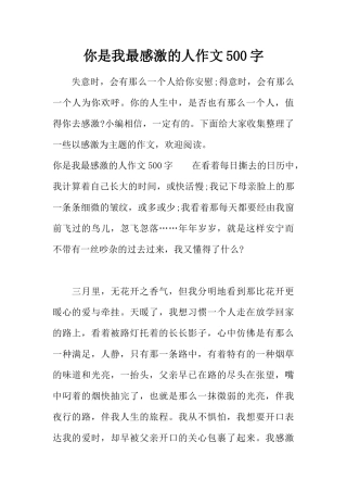 你是我最感激的人作文500字