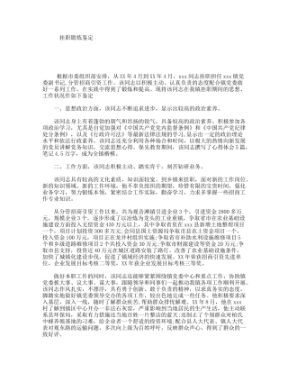 挂职锻炼鉴定