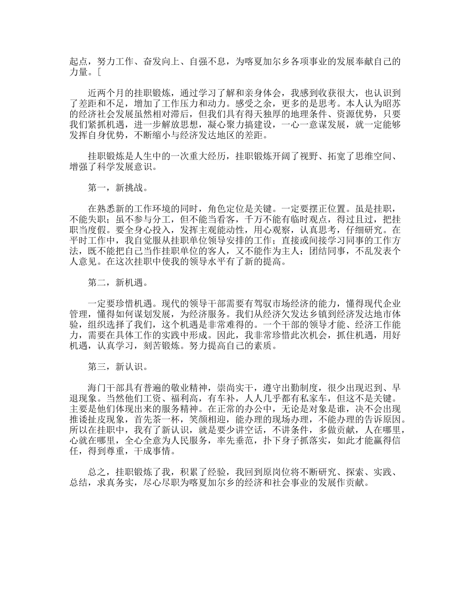 挂职干部心得体会_第2页