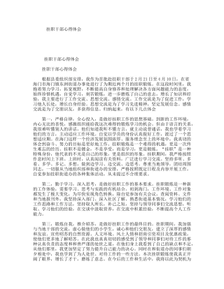 挂职干部心得体会