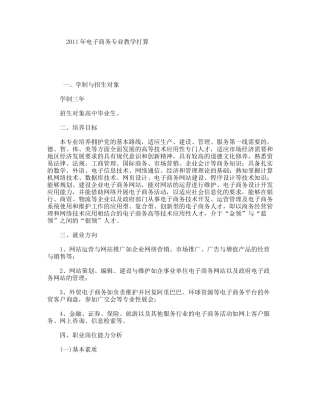 年电子商务专业教学打算