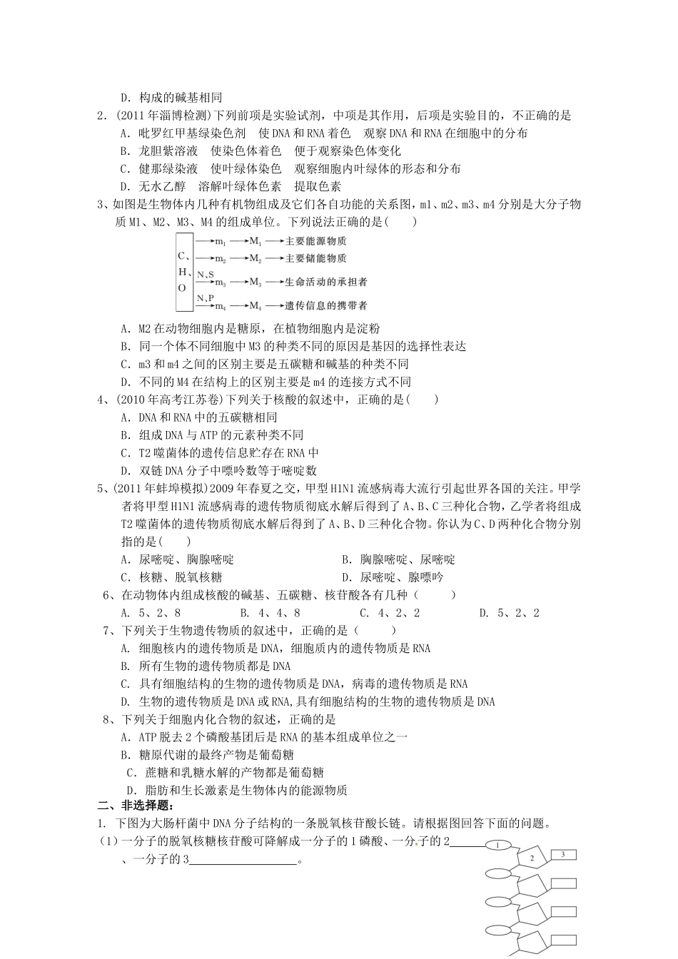 细胞中的生物大分子 （核酸的结构和功能）高三生物导学案_第3页