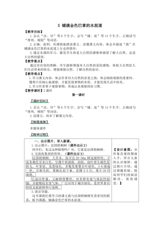 语文《铺满金色巴掌的水泥道》教学教案