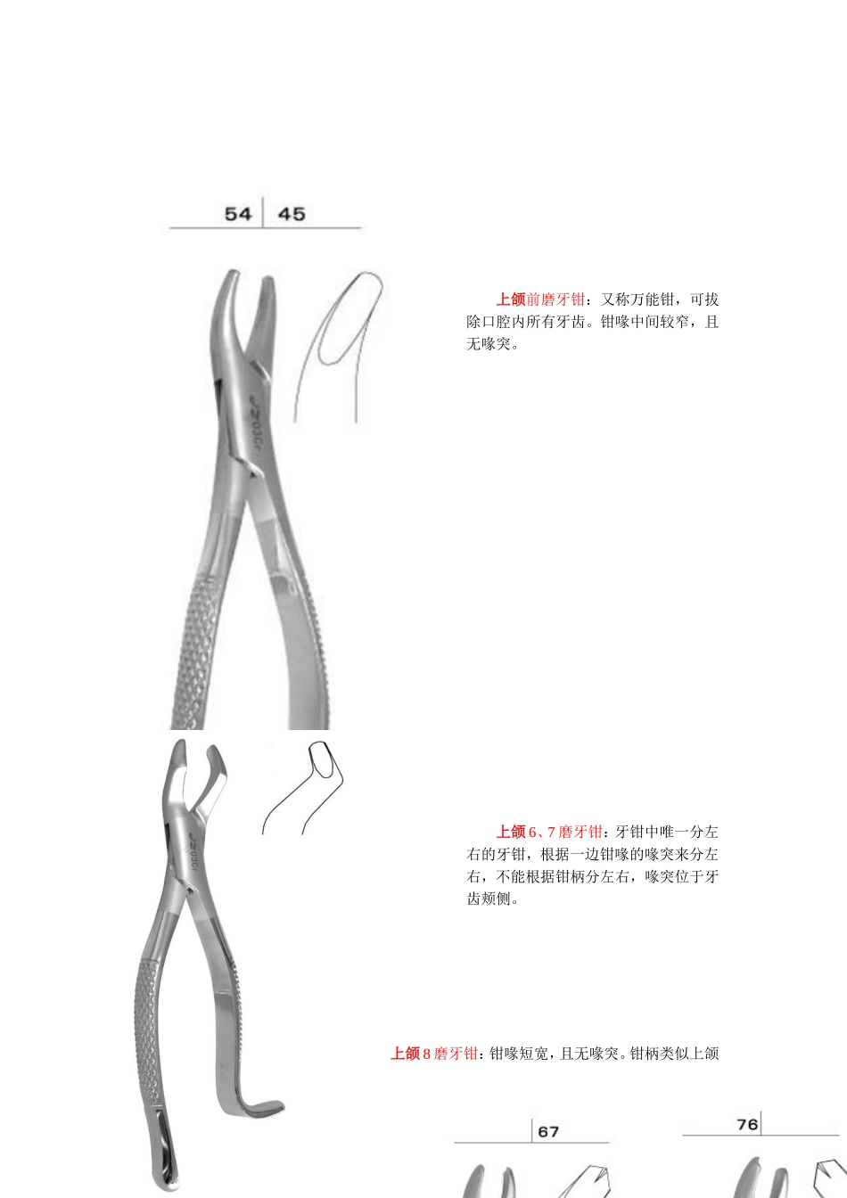 成人牙钳的构成：钳柄+关节+钳喙_第2页