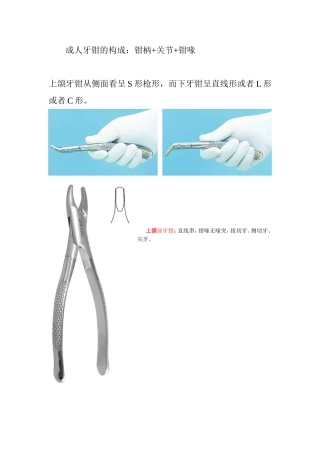 成人牙钳的构成：钳柄+关节+钳喙