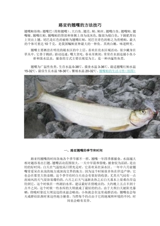 路亚钓翘嘴的方法技巧