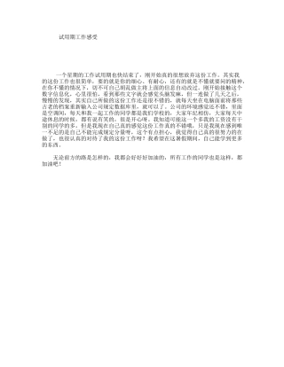 试用期工作感受