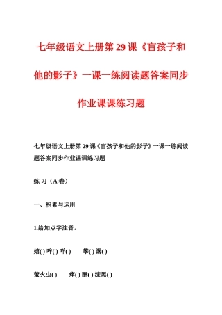 七年级语文上册第29课《盲孩子和他的影子》一课一练阅读题答案同步作业课课练习题