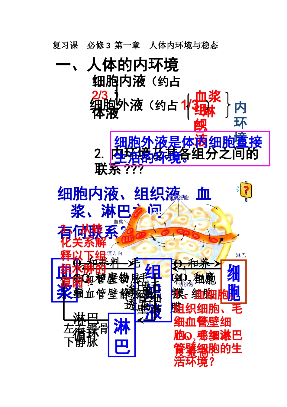 复习课必修3第一章人体内环境与稳态  知识点梳理_第1页