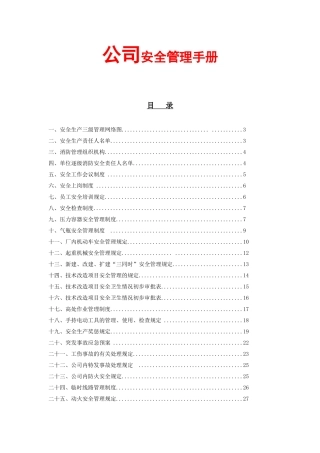 某国外航空公司安全管理手册