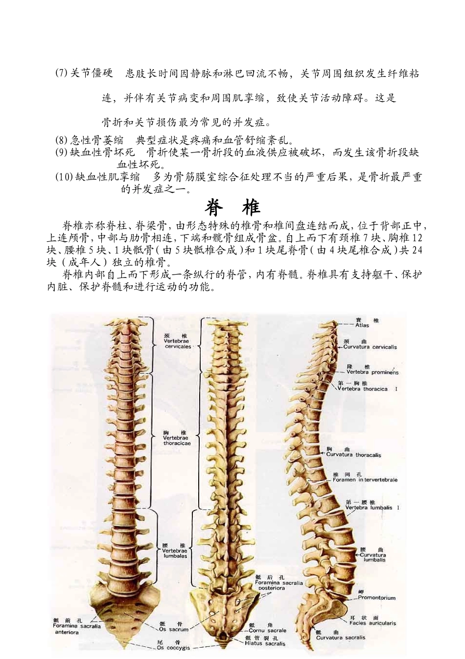 骨折（fracture）教学设计方案_第3页