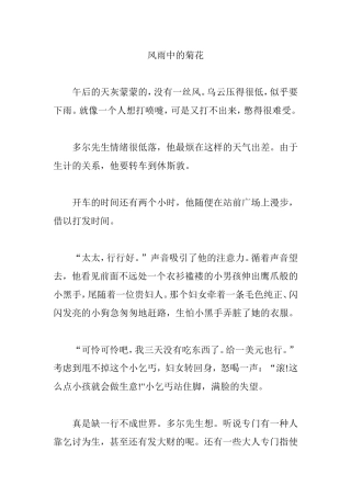 风雨中的菊花