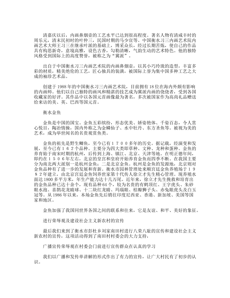 暑期社会实践报告—体会衡水文明宣传先进文化_第3页