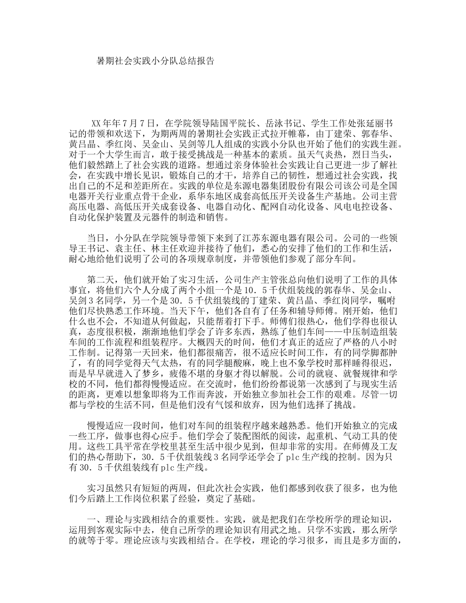 暑期社会实践小分队总结报告_第1页