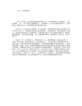 工作一年自我鉴定