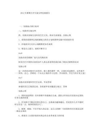 暑期大学生淘宝网实践报告
