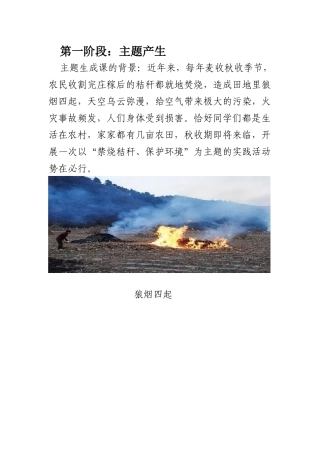 主题生成课  教学设计教案