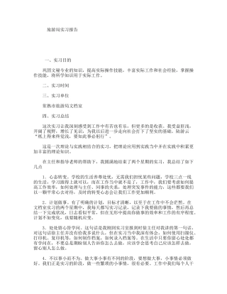 旅游局实习报告