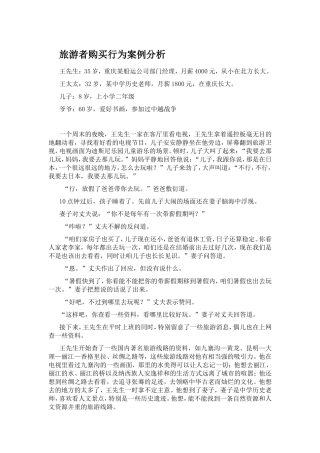旅游者购买行为案例分析
