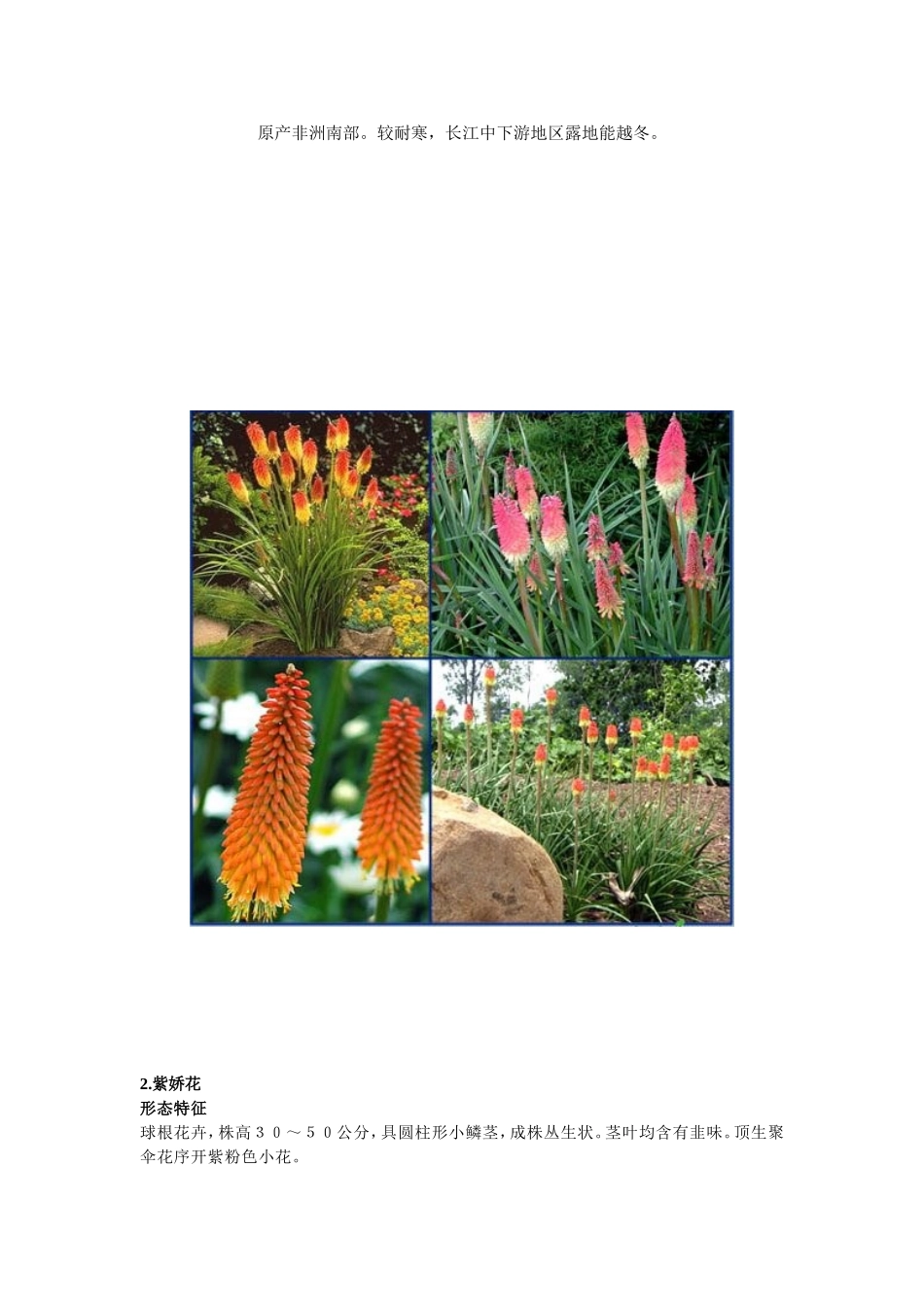 花镜植物 知识点梳理汇总_第2页