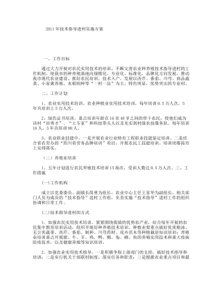 技术指导进村实施方案
