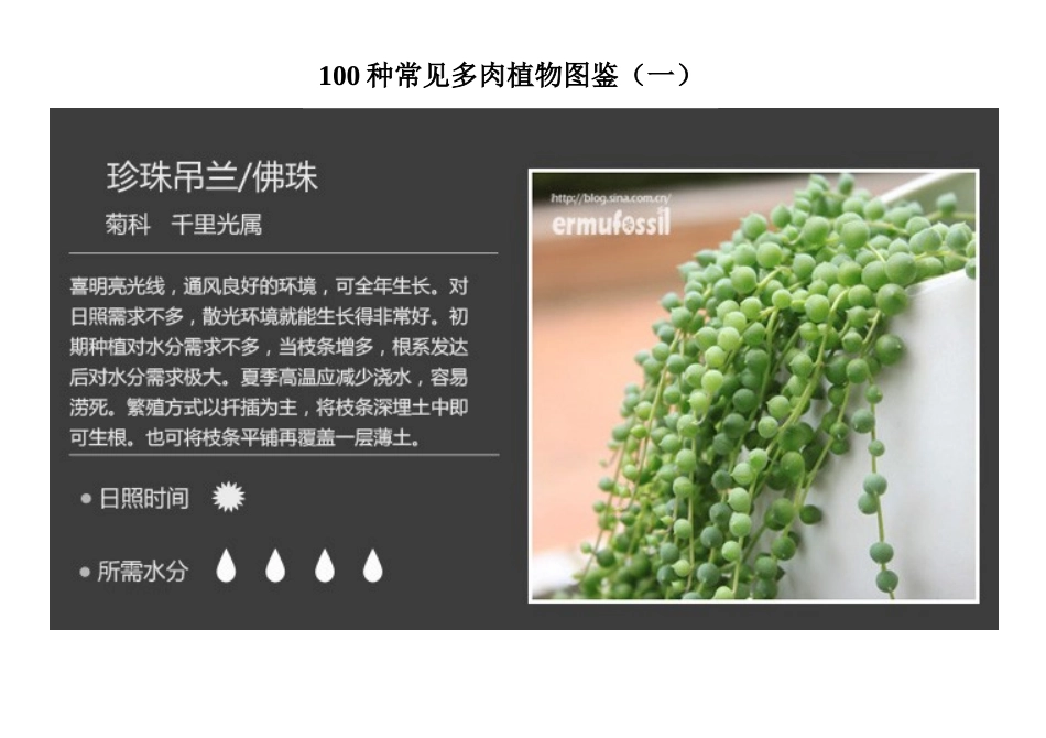 100种常见多肉植物图鉴（一）_第1页