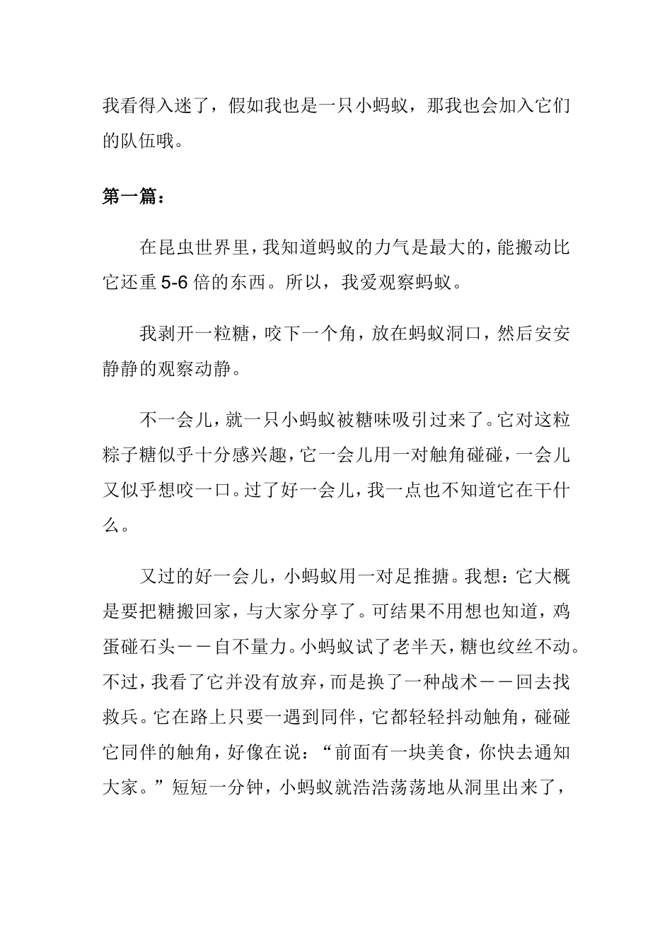 蚂蚁搬家作文300字（篇1）_第3页