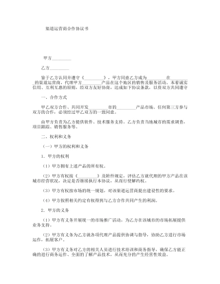 渠道运营商合作协议书