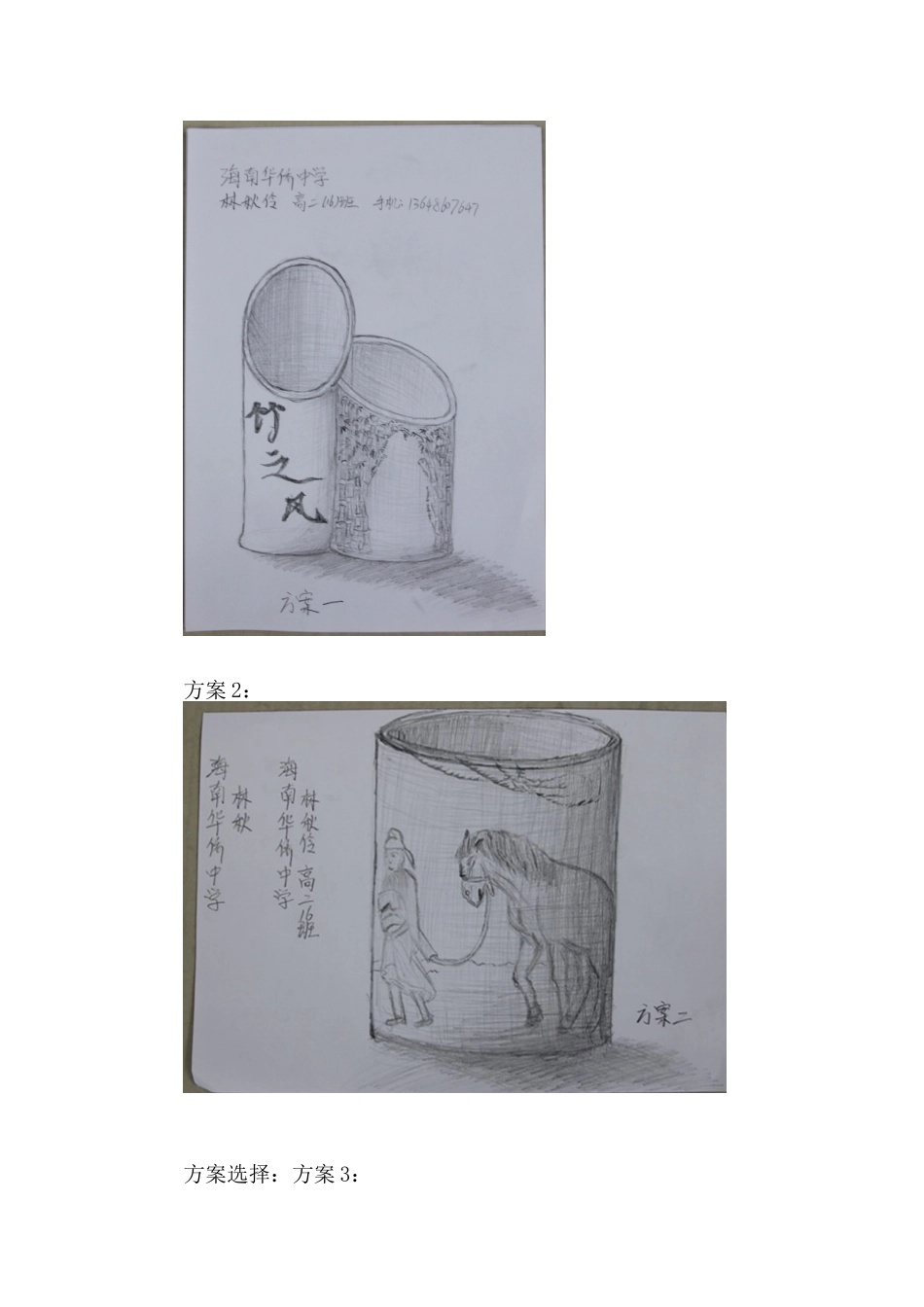 省普通高中通用技术学生设计作品图文材料_第2页