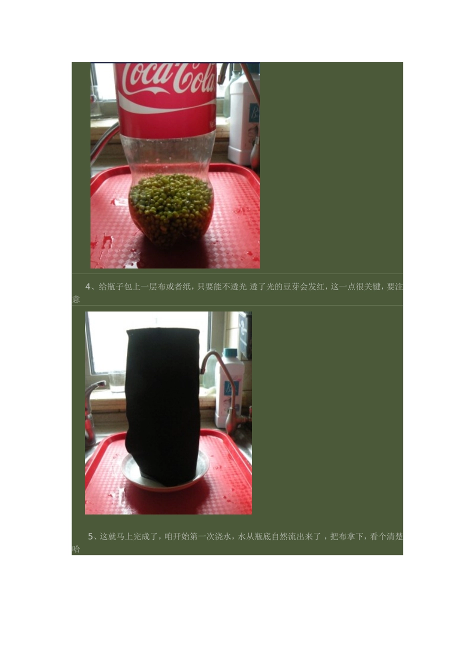 如何发豆芽的最好办法_第2页